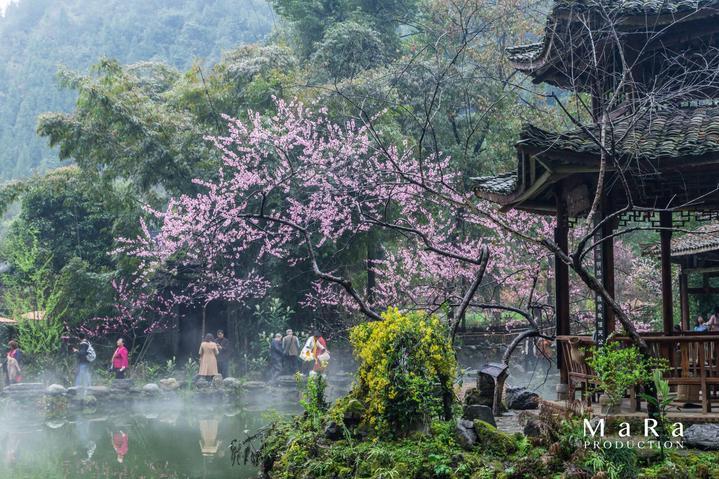 遮阳帐篷